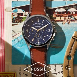 fossil_04